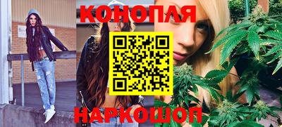 стафф Моздок