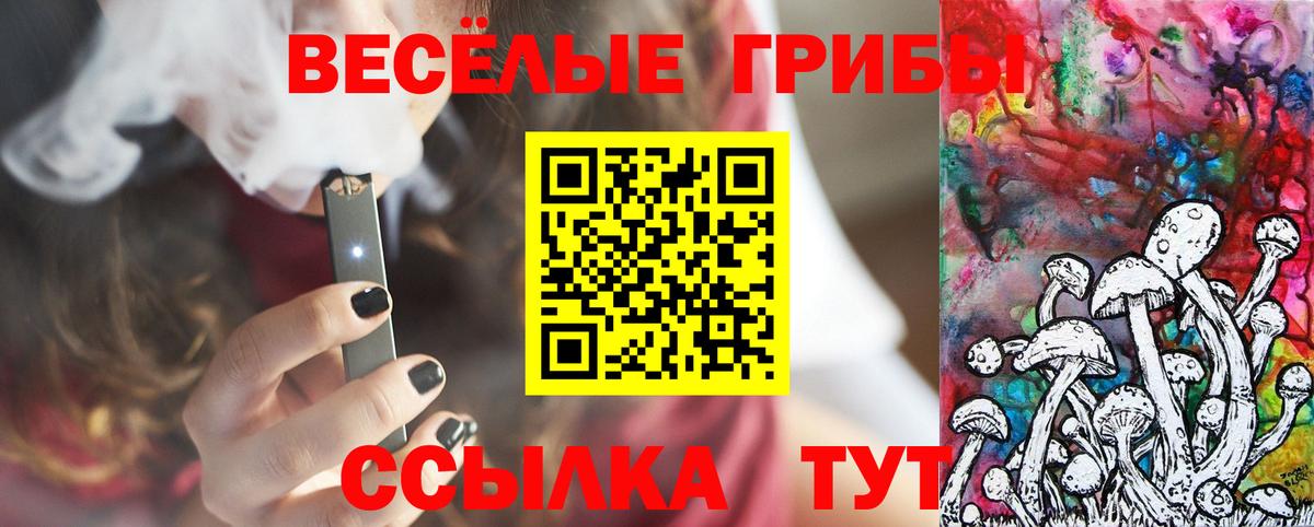 Псилоцибиновые грибы мухоморы  Галлюциногенные грибы GOLDEN TEACHER  Вход с VPN  Владикавказ 