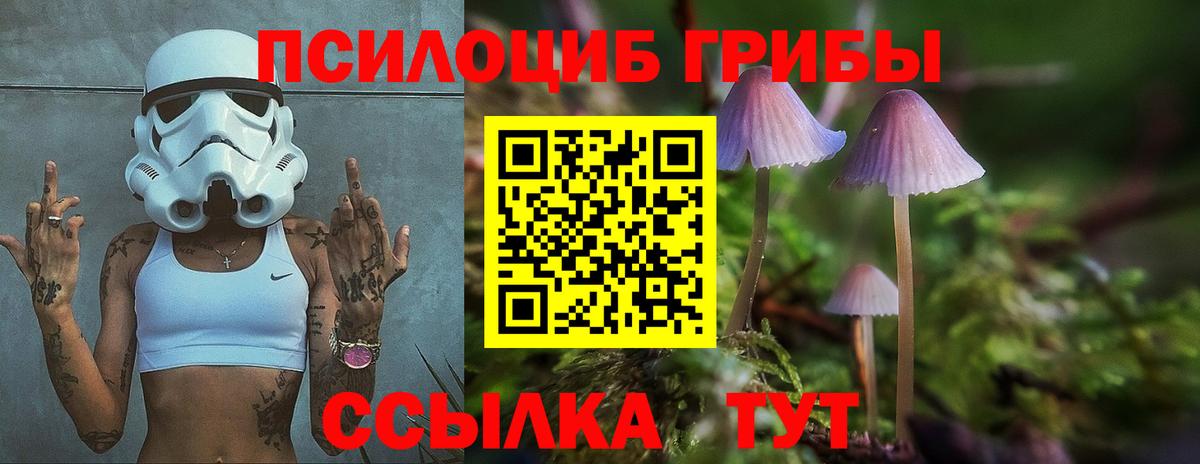 Галлюциногенные грибы Psilocybe Владикавказ